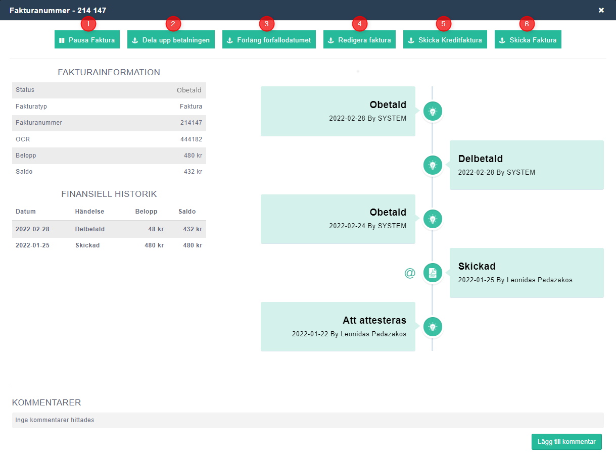 Invoice Edit view-1-1