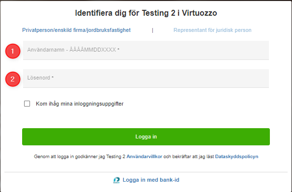 Individual login using password
